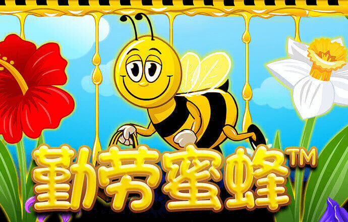 68彩票官网app下载